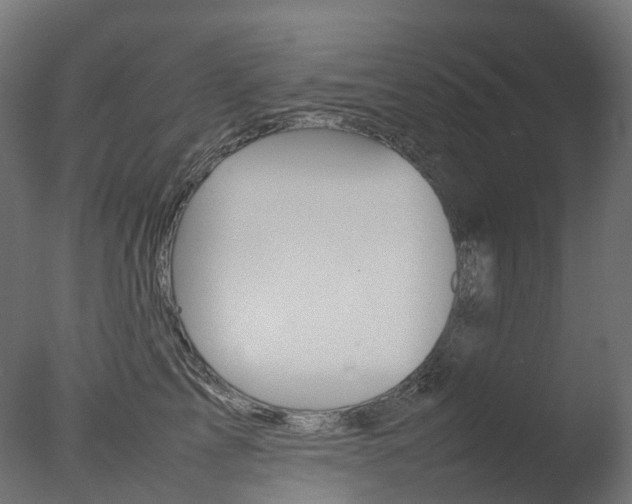 X0000077330713200610200915