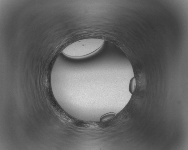 X0000077330715200610200915
