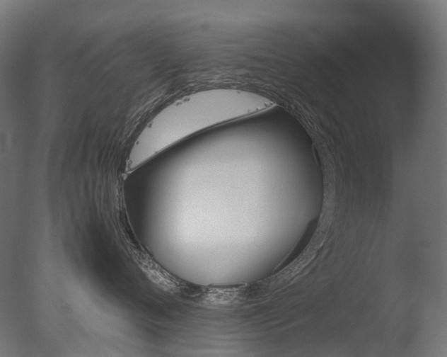 X0000077330720200610200915