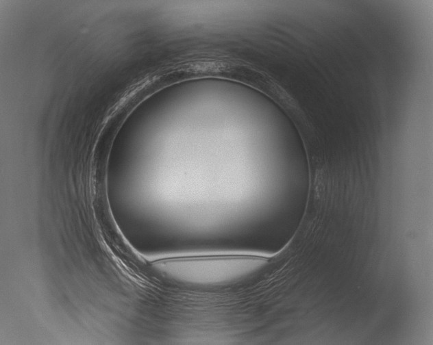 X0000077330722200610200914