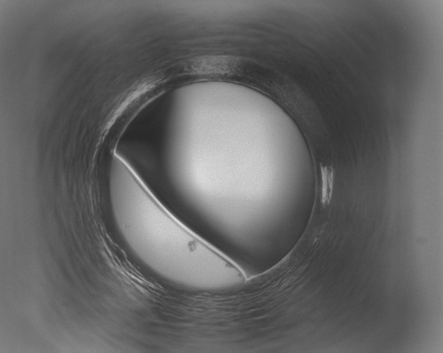 X0000077330723200610200914