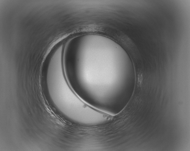 X0000077330724200610200914