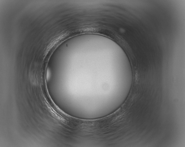 X0000077330725200610200914