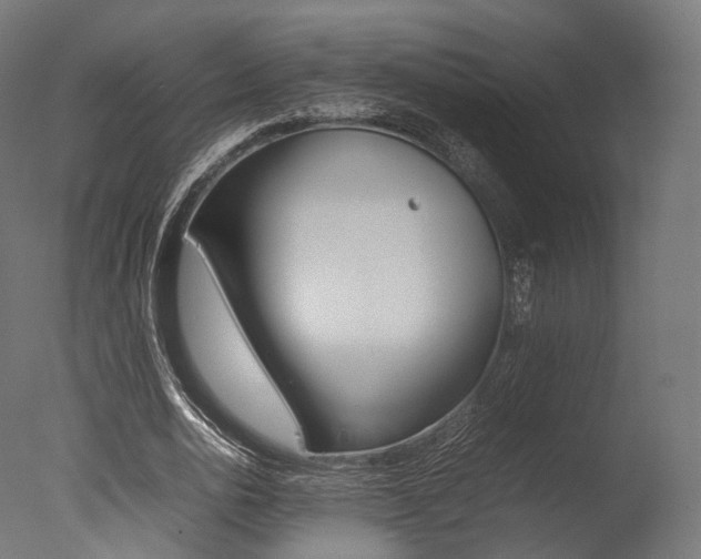 X0000077330726200610200914