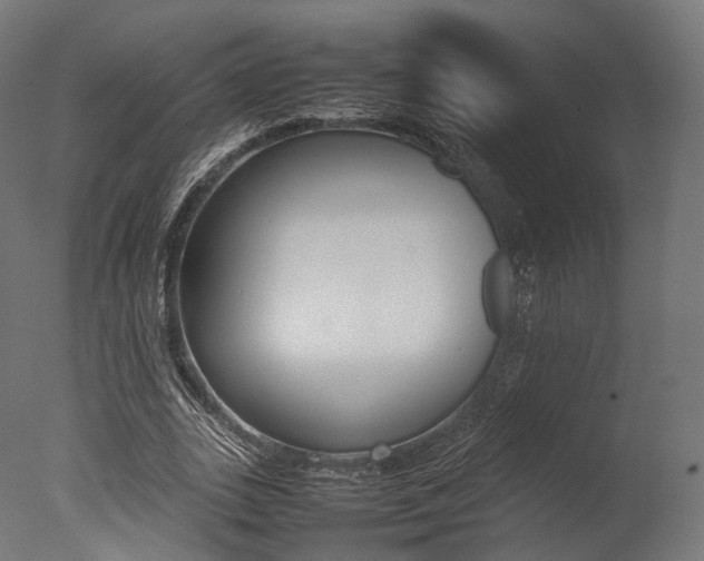 X0000077330727200610200914