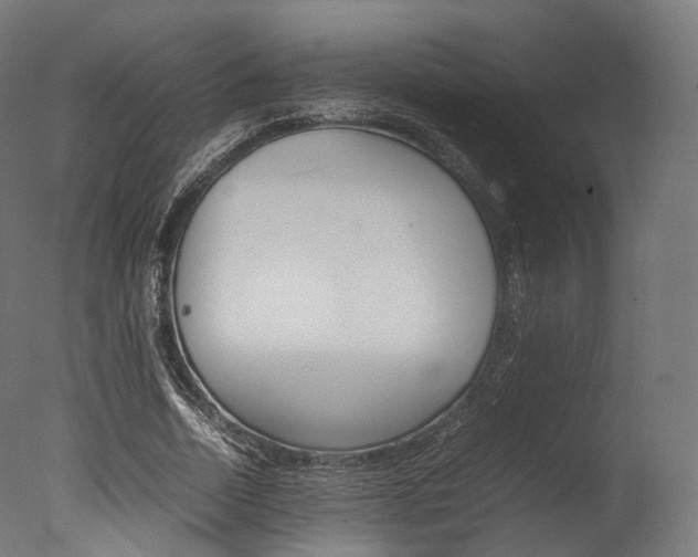 X0000077330730200610200914