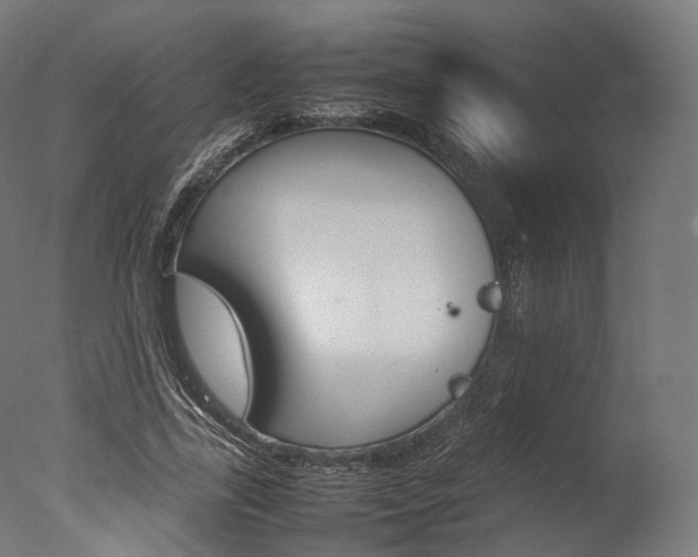 X0000077330731200610200914