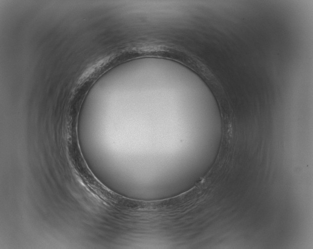 X0000077330732200610200914