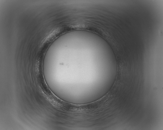 X0000077330735200610200914