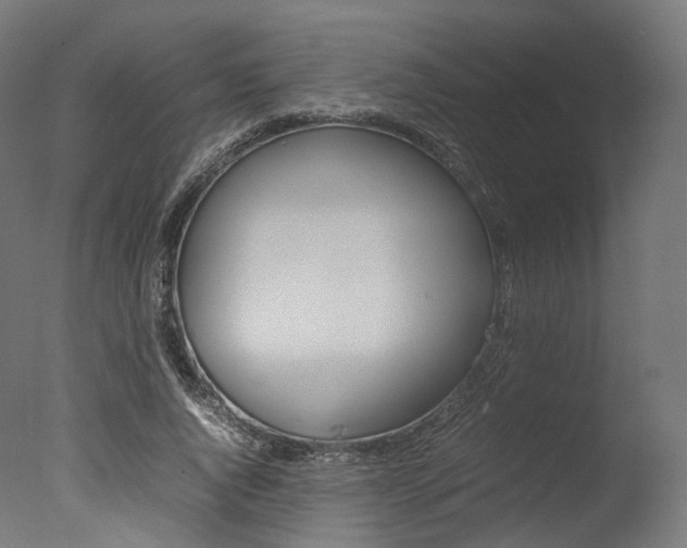 X0000077330736200610200914
