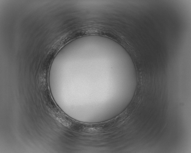 X0000077330737200610200914
