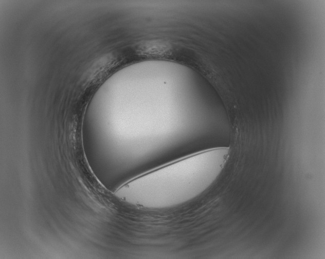 X0000077330739200610200914