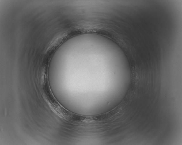 X0000077330742200610200914