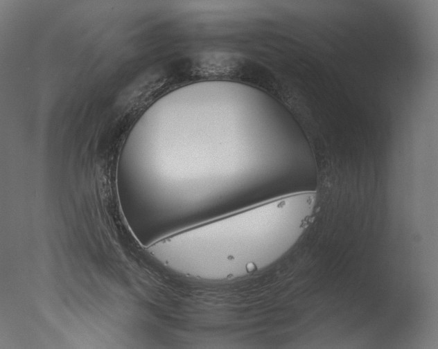X0000077330743200610200914