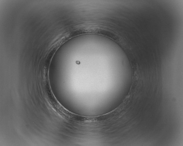 X0000077330744200610200914