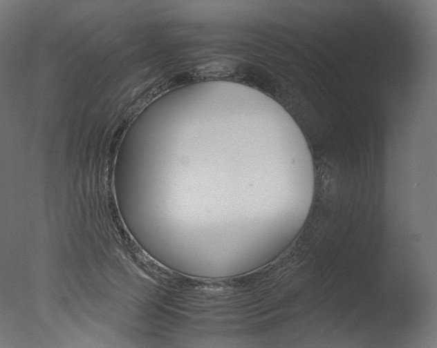X0000077330745200610200914