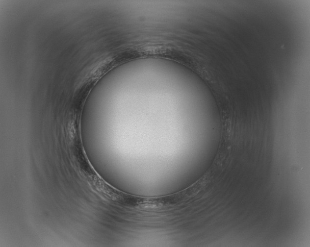 X0000077330746200610200914