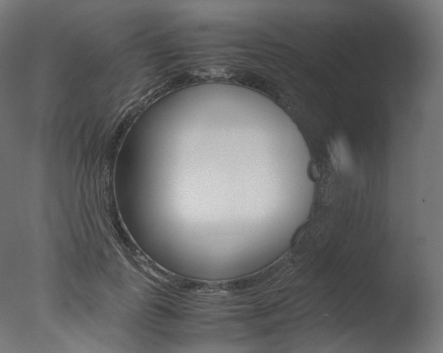 X0000077330747200610200914
