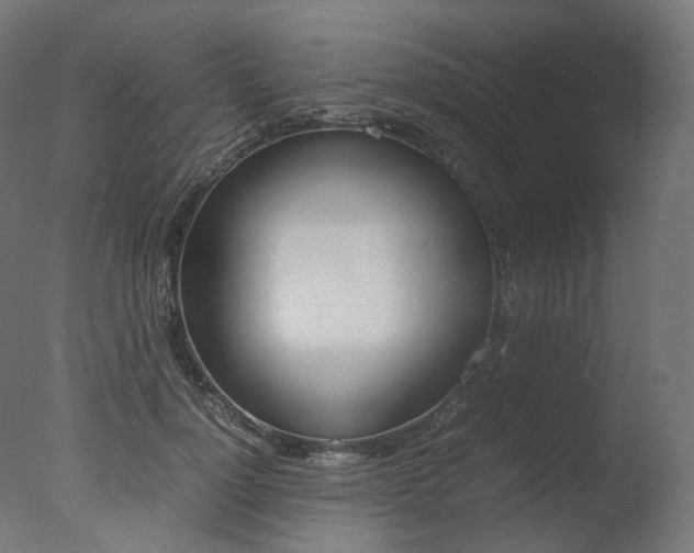 X0000077330748200610200914