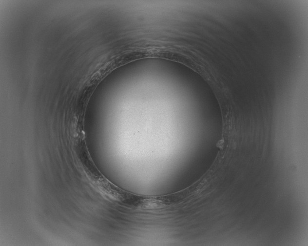 X0000077330750200610200914