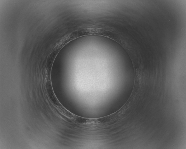X0000077330752200610200914
