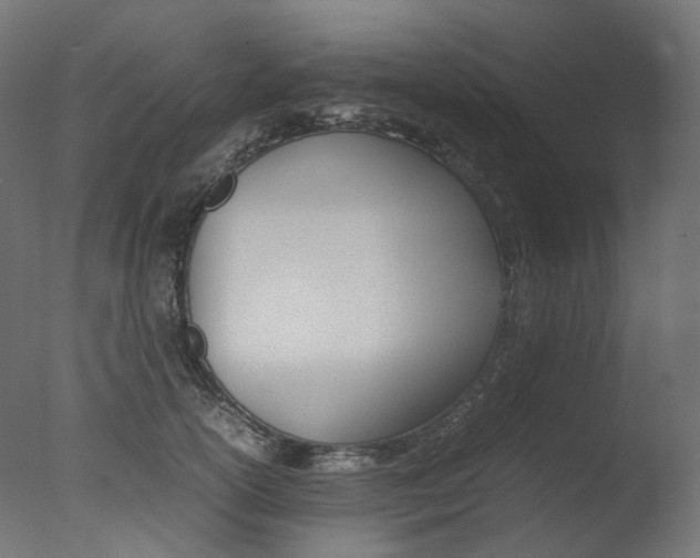 X0000077330754200610200914