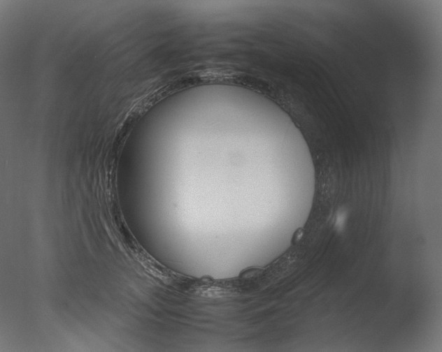 X0000077330755200610200914
