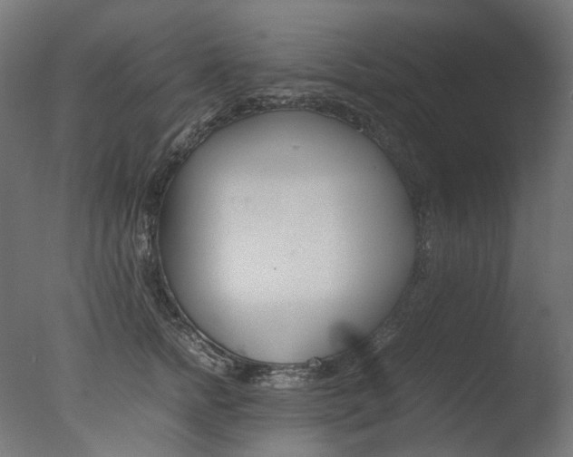 X0000077330758200610200914