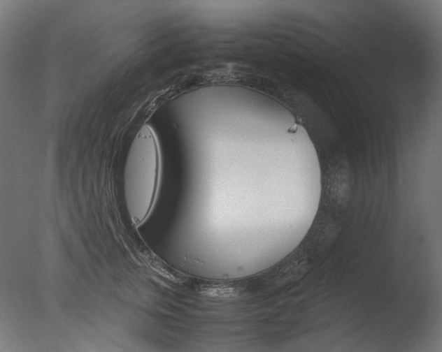 X0000077330759200610200914