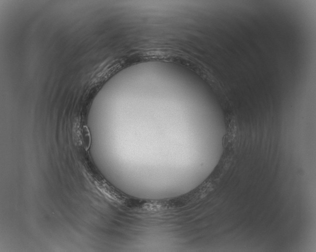 X0000077330764200610200915