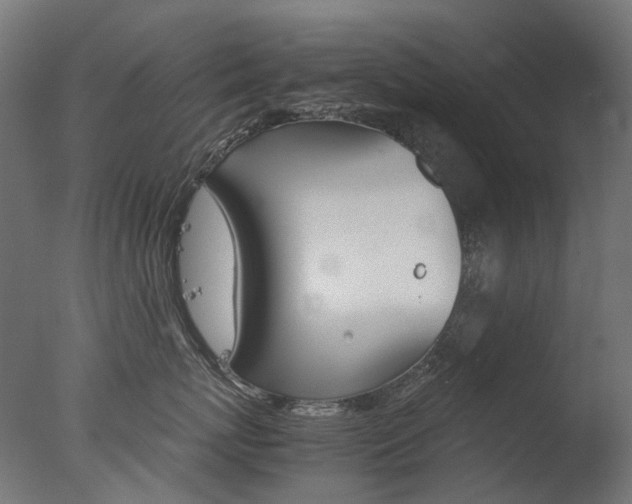 X0000077330767200610200915