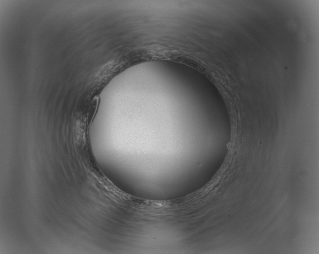 X0000077330768200610200915