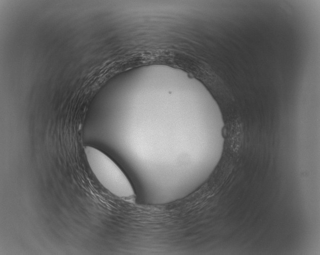 X0000077330770200610200914