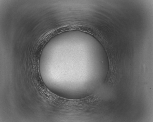 X0000077330773200610200914