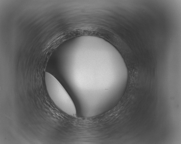 X0000077330774200610200914