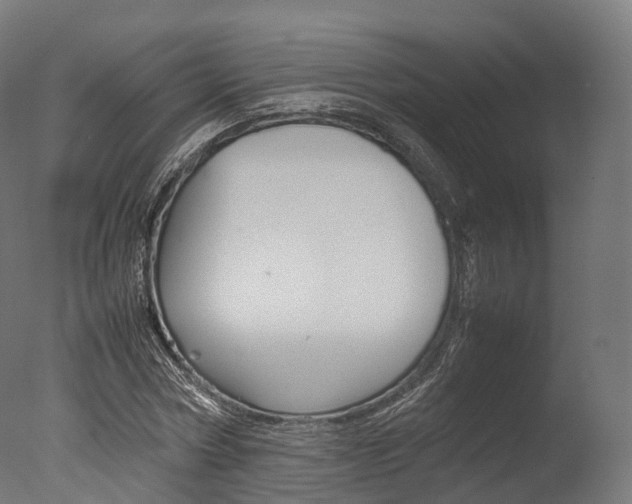 X0000077330778200610200914