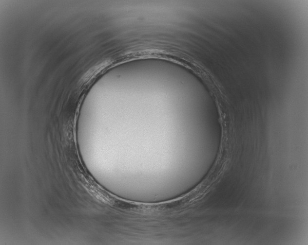 X0000077330785200610200913
