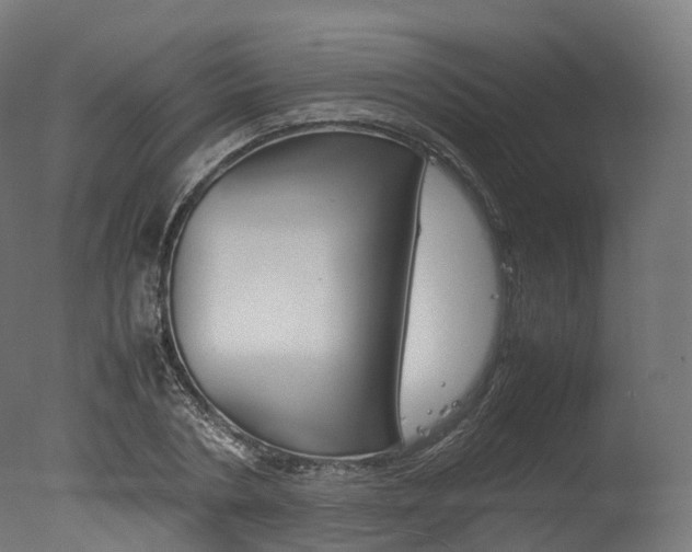 X0000077330786200610200913