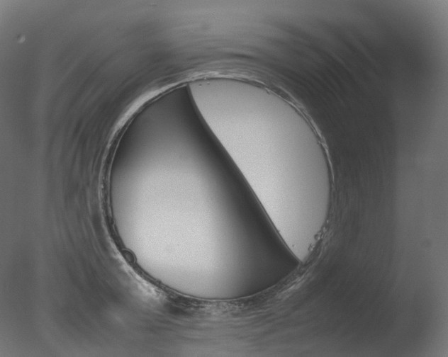 X0000077330803200610200913