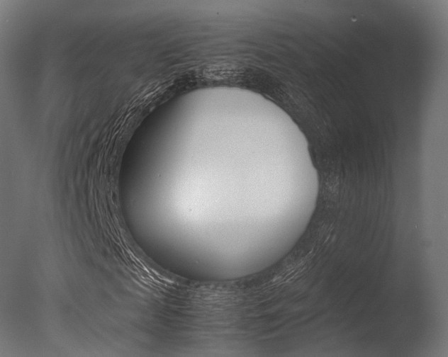 X0000077330817200610200912
