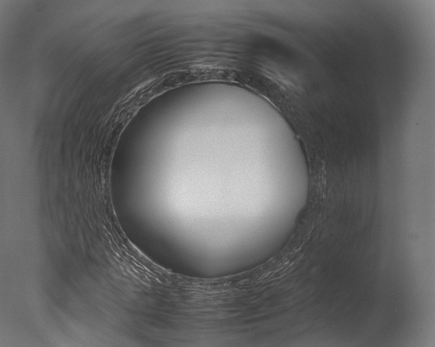 X0000077330821200610200912