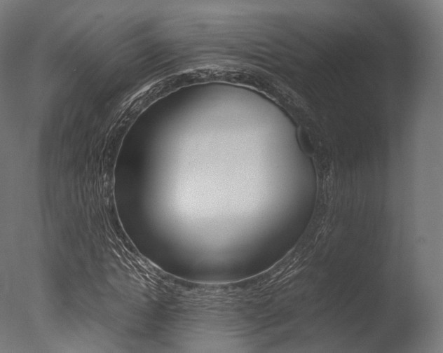 X0000077330822200610200912