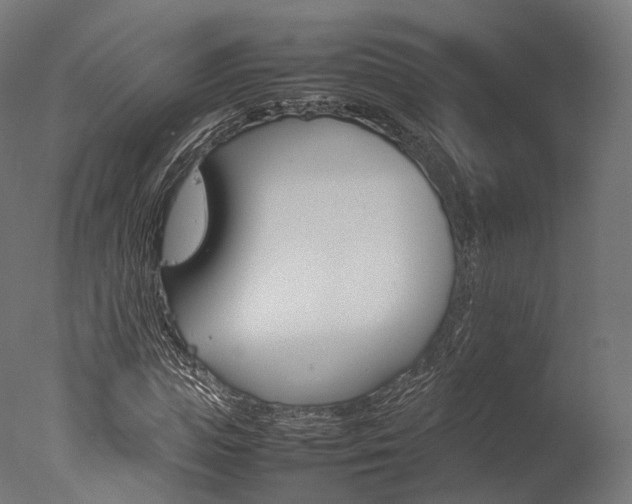 X0000077330823200610200912