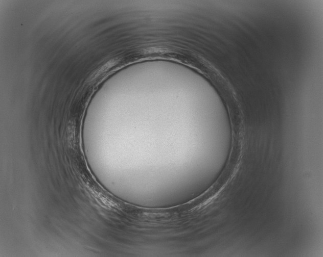 X0000077330825200610200912