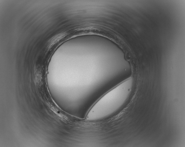 X0000077330826200610200912