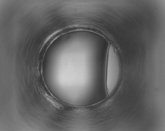 X0000077330830200610200912