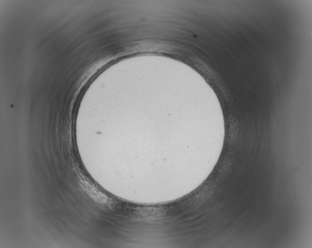 X0000077330836200610200912