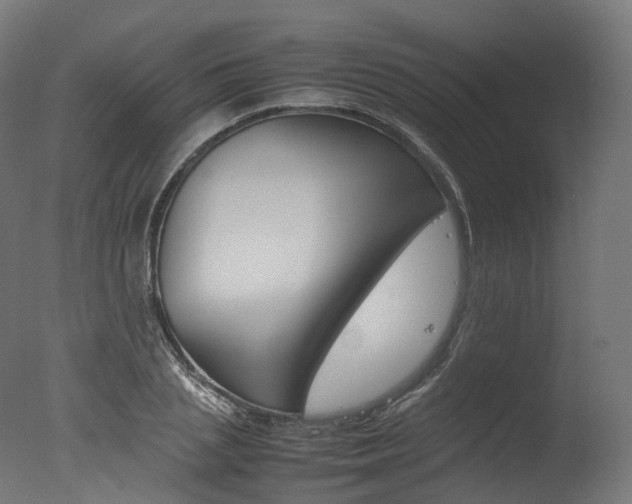 X0000077330837200610200913
