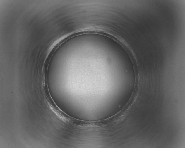 X0000077330838200610200913