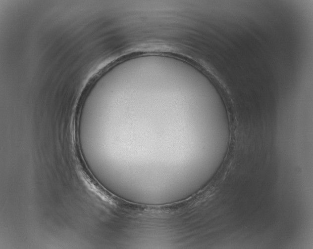 X0000077330840200610200913